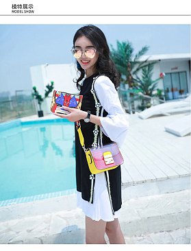 Clear Crossbody Bag